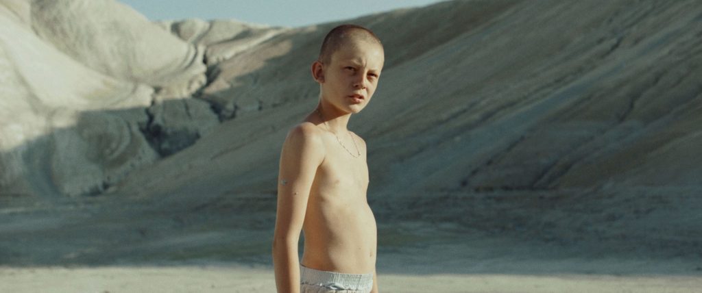 fauve