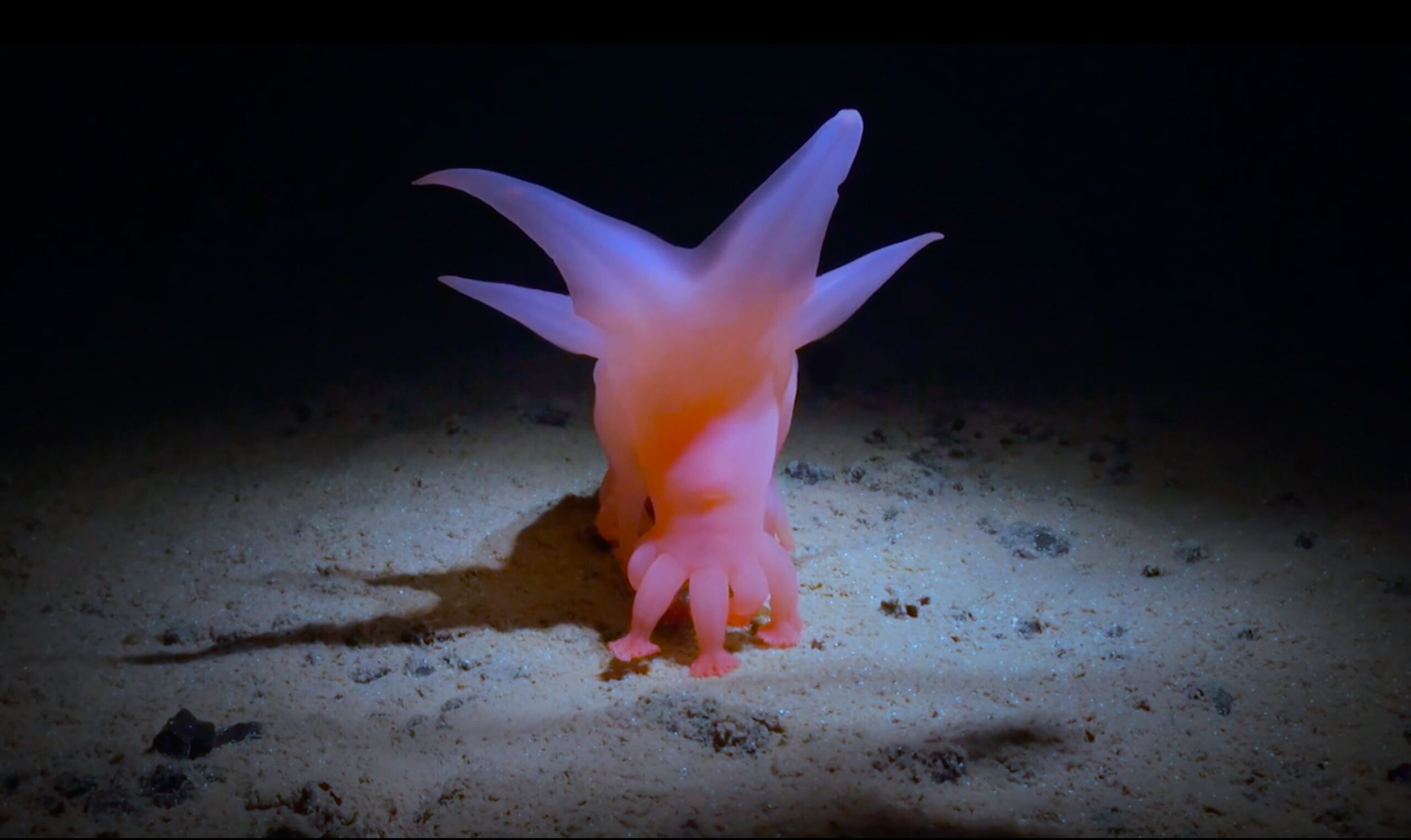 How Deep is Your Love 1 scaled