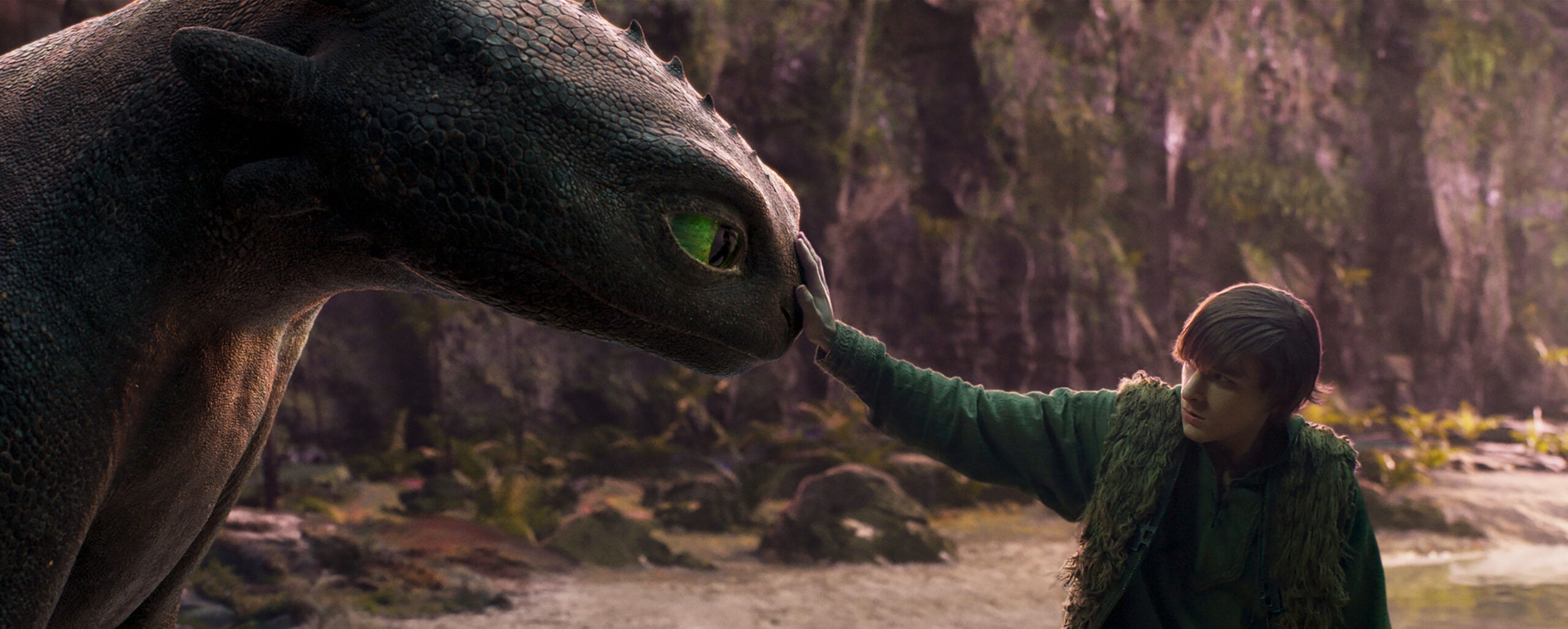 How to Train Your Dragon scaled